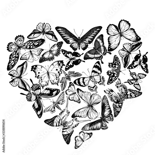 Heart design with black and white octauius swordtail, great orange-tip, emerald swallowtail, plain tiger, rajah brooke's birdwing, papilio torquatus, swallowtail butterfly
