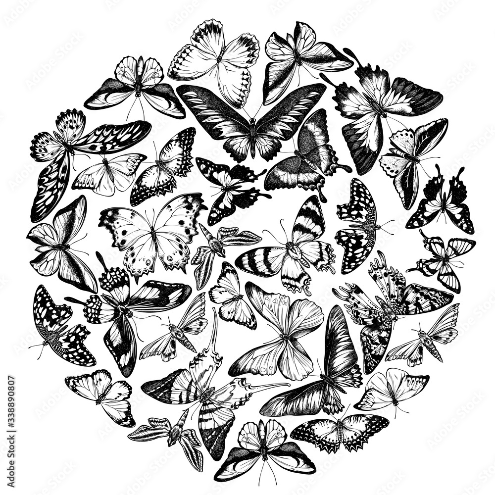 Round design with black and white great orangetip, emerald swallowtail