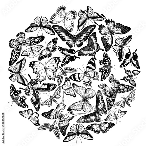 Round design with black and white great orange-tip, emerald swallowtail, jungle queens, plain tiger, rajah brooke's birdwing, papilio torquatus, swallowtail butterfly