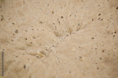 bread starter. Close up shot of bread dough texture. Air Bubbles from fermentation.