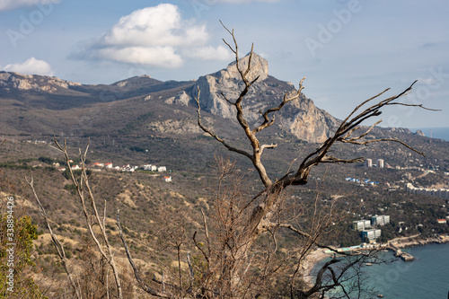 winter landscape with snow