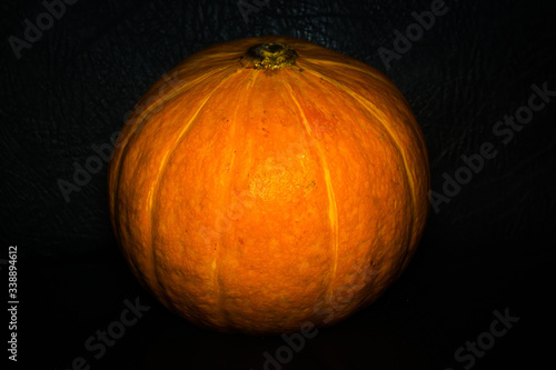 Macro of pumpkin peel