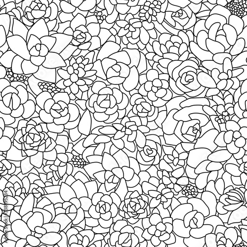 Succulents black line art isolated vector seamless pattern