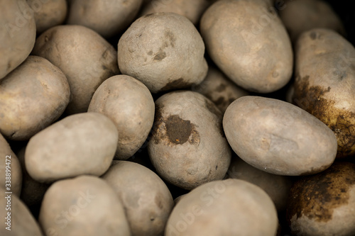 Shallow depth of field  selective focus  image with white potatoes on sale on a vegetables street stall.