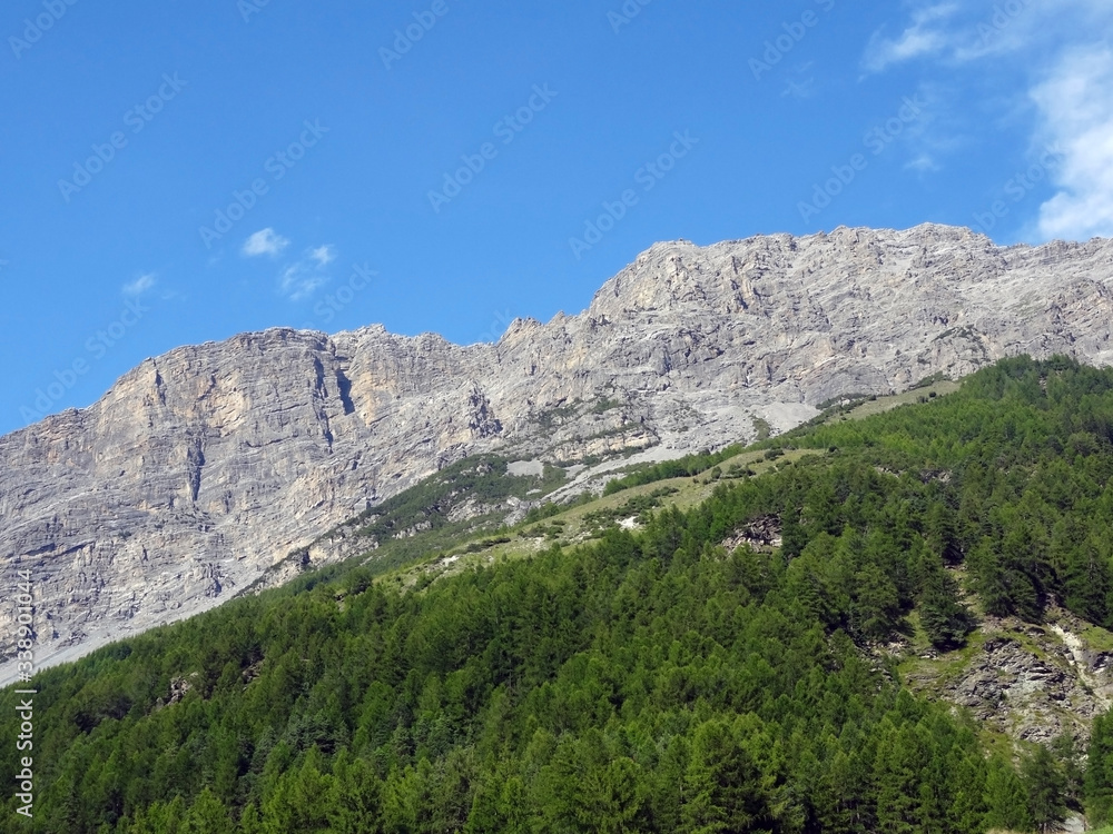 Mountain without snow partially covered by a forest against clear blue sky in summer