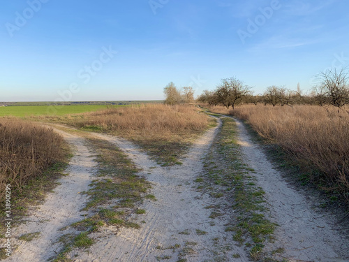 The road through the field against the blue sky. The path to the village passes near the forest in the meadow. Traces of cars and carts on the ground. Crossroad 