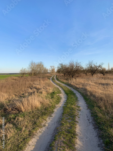 The road through the field against the blue sky. The path to the village passes near the forest in the meadow. Traces of cars and carts on the ground.