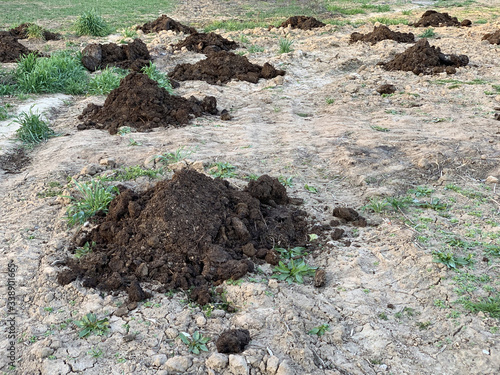 A pile of fertilizer on farmland. Loosened earth on the field. Sowing crops.