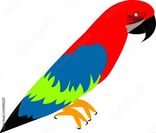Cartoon macaw parrot. Flat illustration of tropical parrot bird. Isolated on white background.
