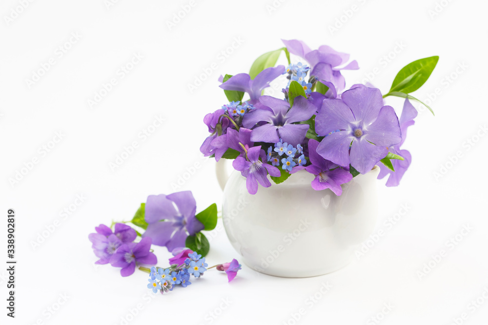 Purple wild flowers in small vase on white background. Beautiful spring forest flowers. Purple wild flowers in small vase on white background. Beautiful spring forest flowers.