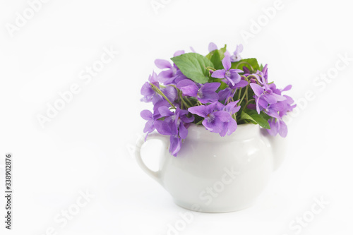 Purple wild flowers in small vase on white background. Beautiful spring forest flowers.