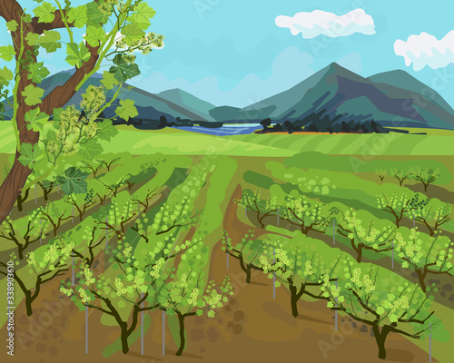 Spring landscape with vineyard, mountains on horizon and blue sky in impressionistic manner