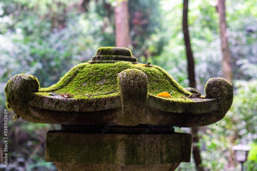 Foto Mossy temple statue