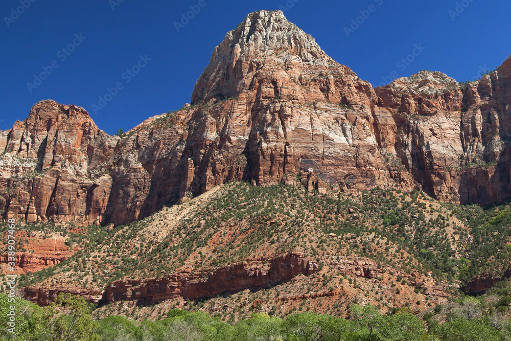 Fototapeta premium Bridge Mountain in Zion National Park