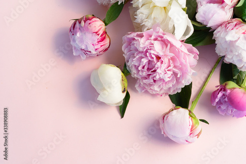 Fresh peony flowers