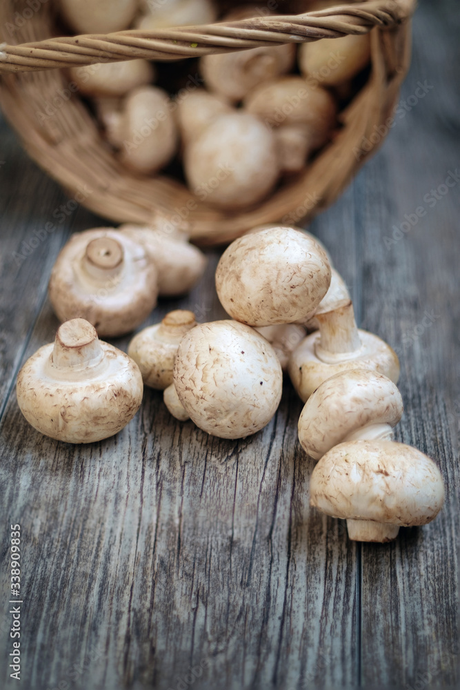 White mushrooms and basket on the wooden rustic table White mushrooms and basket on the wooden rustic table
