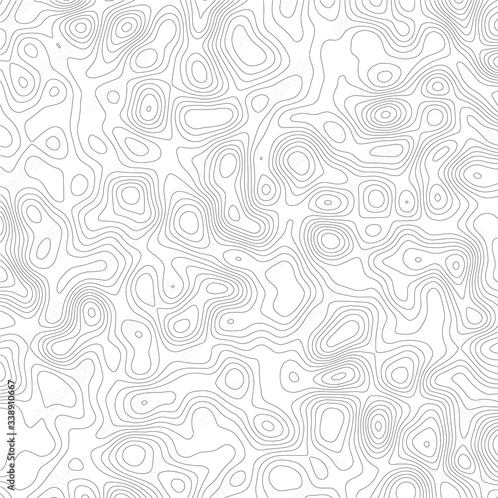 Topographic contour map. Vector cartography illustration.