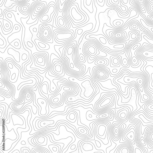 Topographic contour map. Vector cartography illustration.