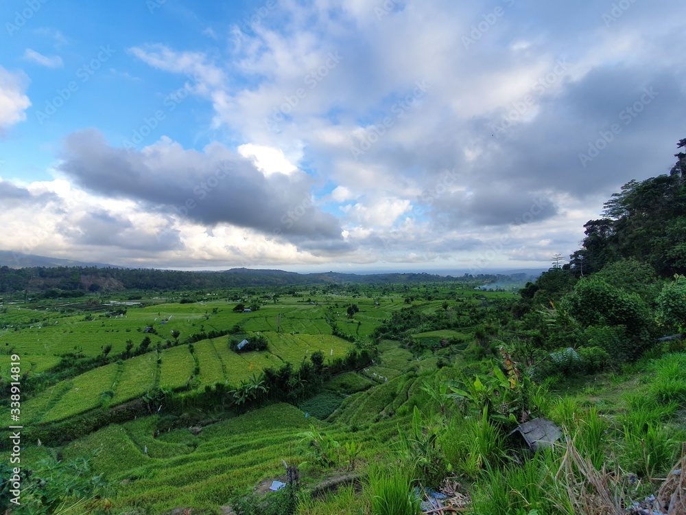 Fototapeta premium Bali island nature