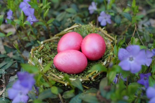 Colored eggs for easter. pink eggs on green grass