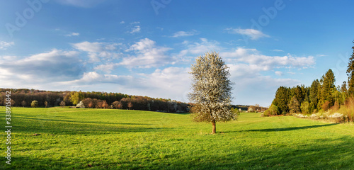 Saarland - Landschaft im Frühling bei Theley im St. Wendler Land photo