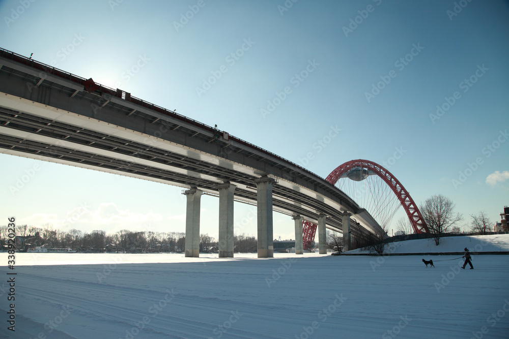 Fototapeta premium a walk with a dog on the frozen Moscow river under a cable-stayed bridge on a frosty day