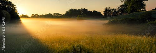 Fototapeta Panorama zamglonej łąki o wschodzie słońca
