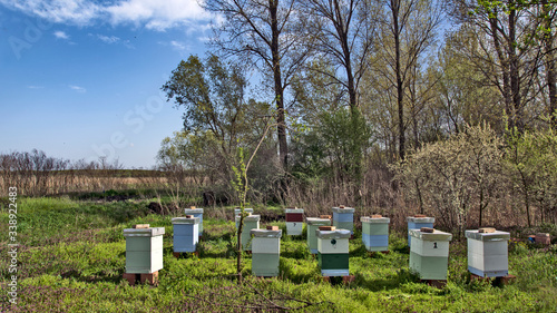 Hives with bees