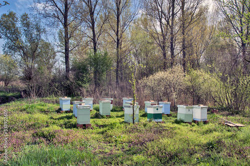 Hives with bees