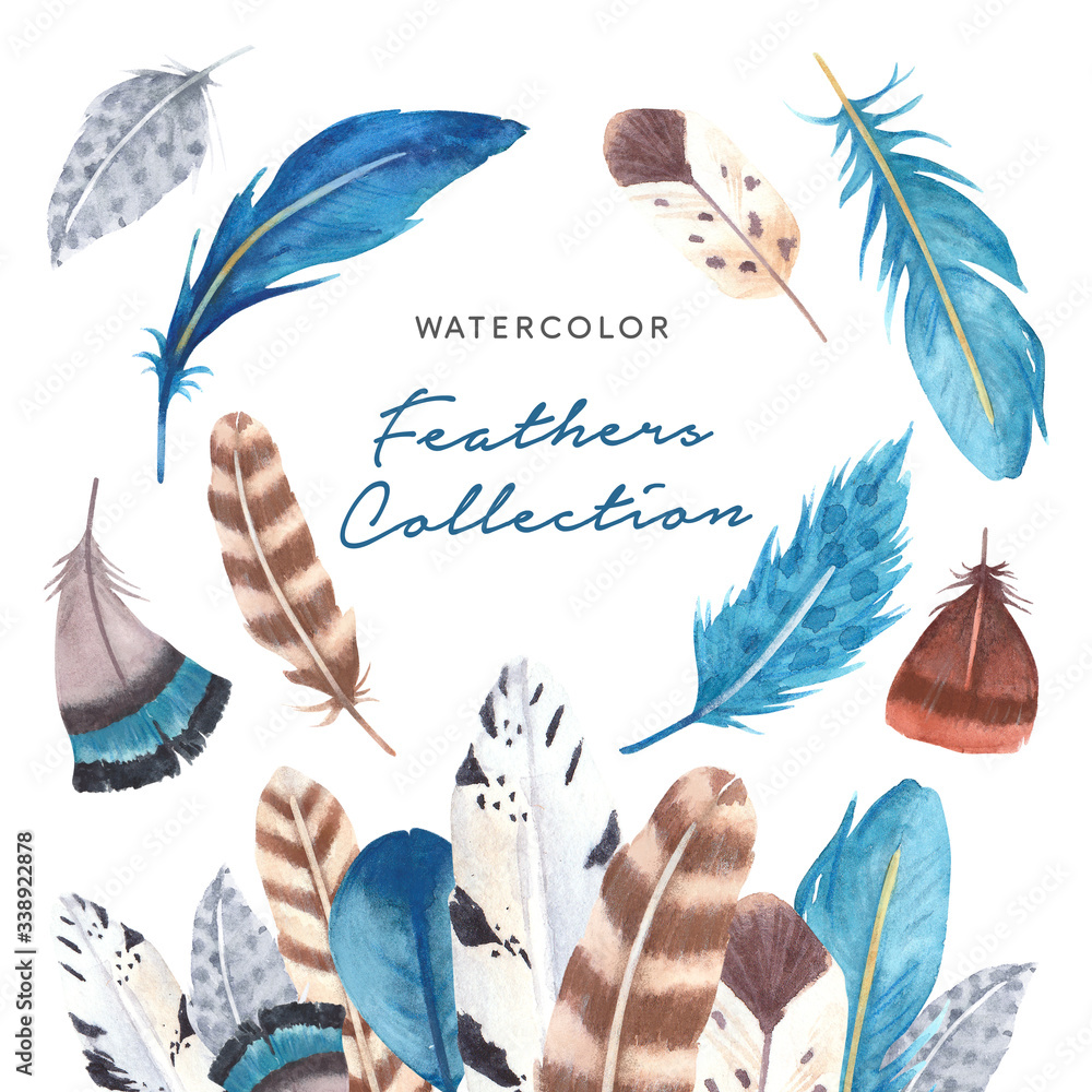 Obraz Hand drawn watercolor vibrant feathers collection
