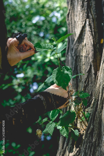Beautiful hands of young gothic and witch woman with black nails and accessories touching tree and leaves in the forest