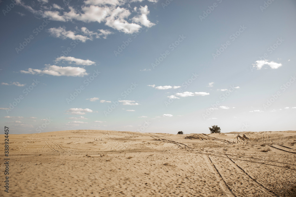 Kharkov desert. Desert in the east of Ukraine. Ukrainian desert. A lot of sand. Sand dunes. Desert landscape. Kharkov desert. Desert in the east of Ukraine. Ukrainian desert. A lot of sand. Sand dunes. Desert landscape.