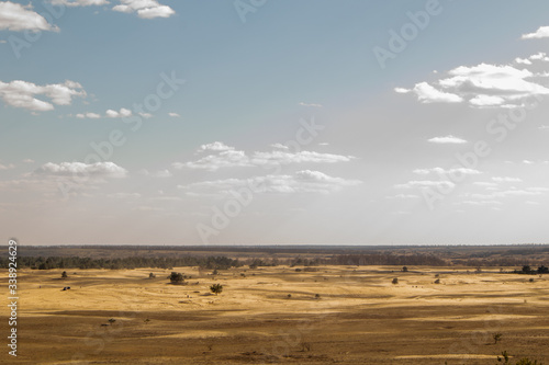 Fototapeta Naklejka Na Ścianę i Meble -  Kharkov desert. Desert in the east of Ukraine. Ukrainian desert. A lot of sand. Sand dunes. Desert landscape.