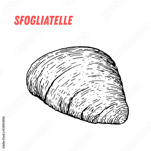 Sfogliatelle sketch. Italian dessert vector illustration. Italian sweet hand drawn sketch. Vintage design template.