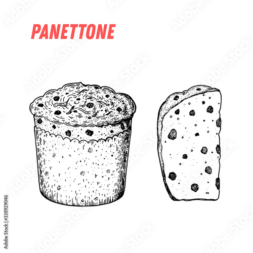 Panettone sketch. Italian dessert vector illustration. Italian sweet hand drawn sketch. Vintage design template.