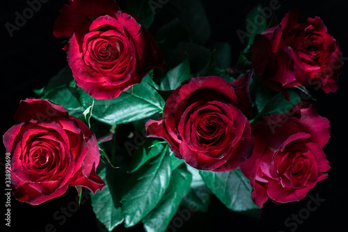 close-up fresh red roses on black background  concept of greeting  wedding  love and celebration of March 8
