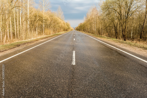Straight wet asphalt road after a rain. On the sidelines are trees and bushes without foliage