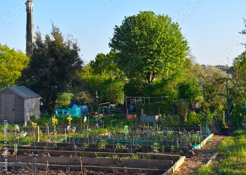 Grow your own food on one of London allotment sites Having a spot has many benefits including organic fresh fruit and vegetables great way of beating stress making friends and getting closer to nature