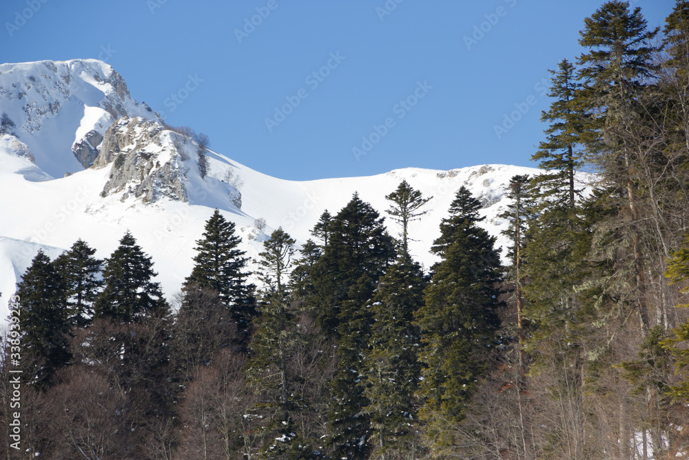 Obraz premium Beautiful mountains covered with snow. Sunny day and blue sky on a frosty day