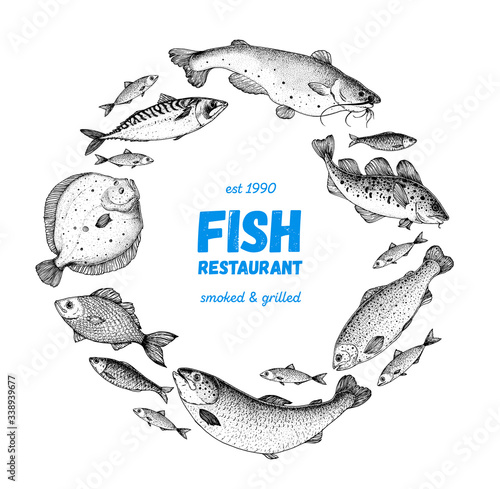 Fish sketch collection. Hand drawn vector illustration. School of fish vector illustration. Food menu illustration. Hand drawn fish set. Engraved style. Sea and river fish logo.