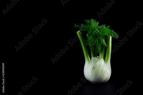 Fennel root isolated on a black background, pharmacy dill closeup.