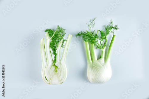 Fennel root isolated on a blackwhite background, pharmacy dill closeup.