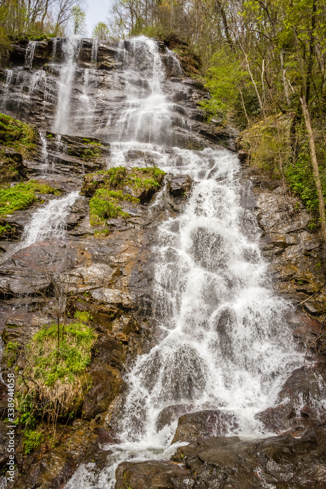 Fototapeta premium waterfall in the forest