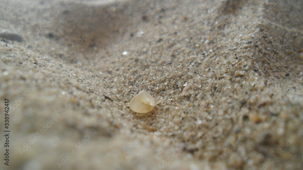 A stone surrounded by sea grains of a rock in macro photography A stone surrounded by sea grains of a rock in macro photography