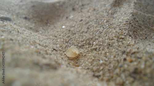 A stone surrounded by sea grains of a rock in macro photography