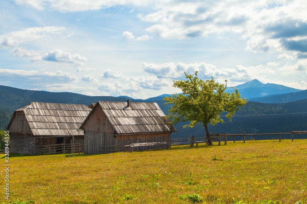 A tree near two houses in the background of a mountain landscape. Ukrainian Carpathians A tree near two houses in the background of a mountain landscape. Ukrainian Carpathians