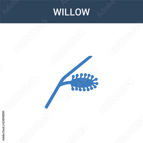 two colored Willow concept vector icon Fototapeta