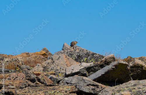 Pika Landscape blue sky contrast