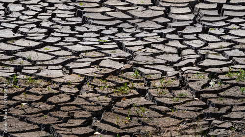 Texture of Dry mountain riverbed
