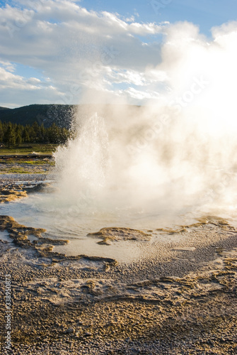 Sawmill Geyser in Yellowstone National Park erupts in the late afternoon light